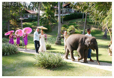 Cape Panwa Hotel 42